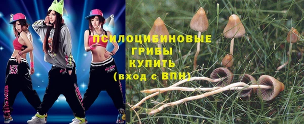 кокс Армянск