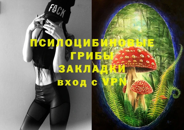 каннабис Арсеньев