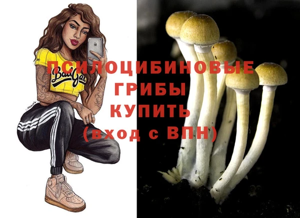 кокс Армянск