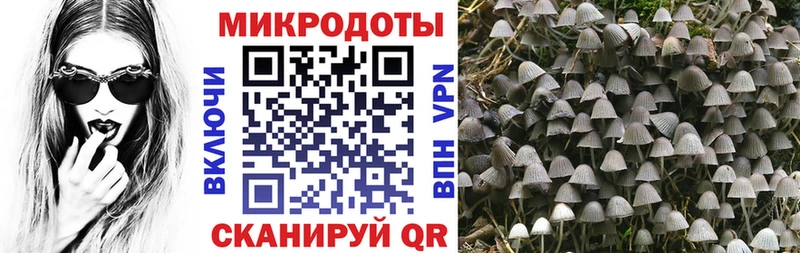 купить наркотики сайты  Новозыбков  Галлюциногенные грибы прущие грибы 